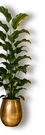 Plant Decoration